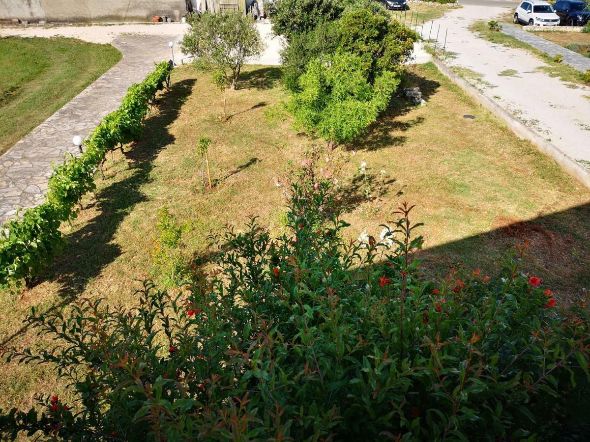Apartmani Labud Sukošan Exteriör bild